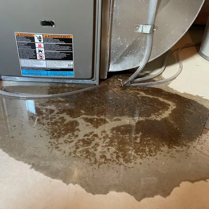 Appliance Leak Cleanup in Circle D-KC Estates, TX